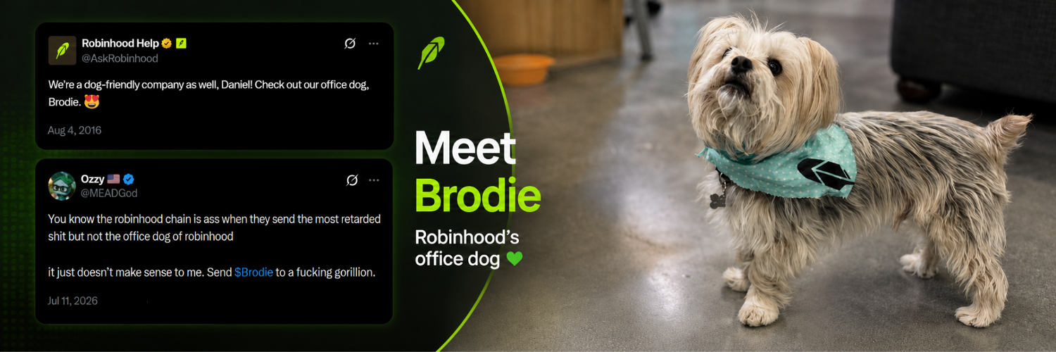 Robinhood Office Dog Brodie